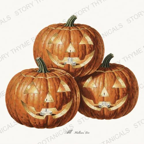 Jack O Lanterns — Vintage Halloween print on a white ground
